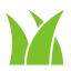 Zieleń