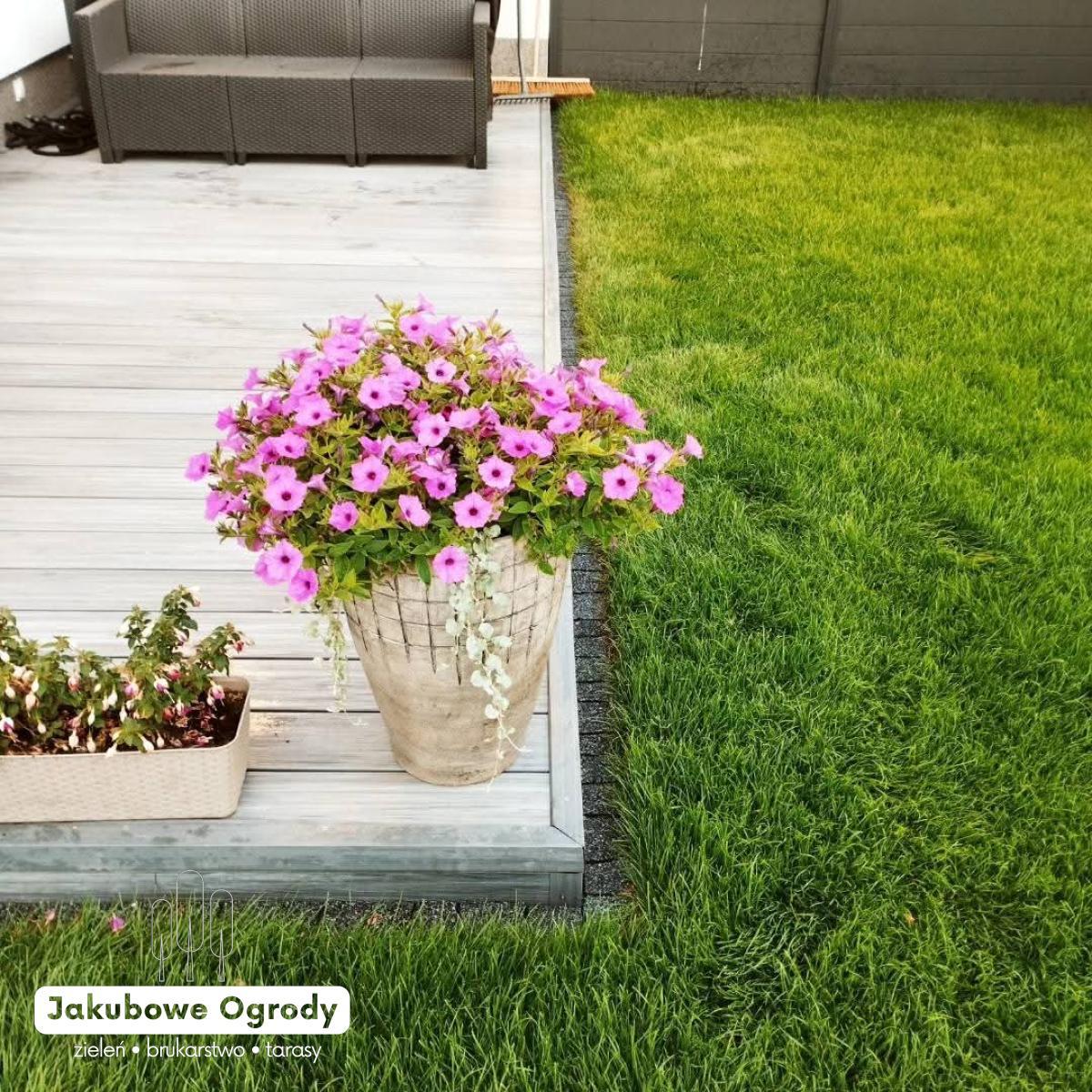 Zielona oaza z miejscem na relaks i rekreację