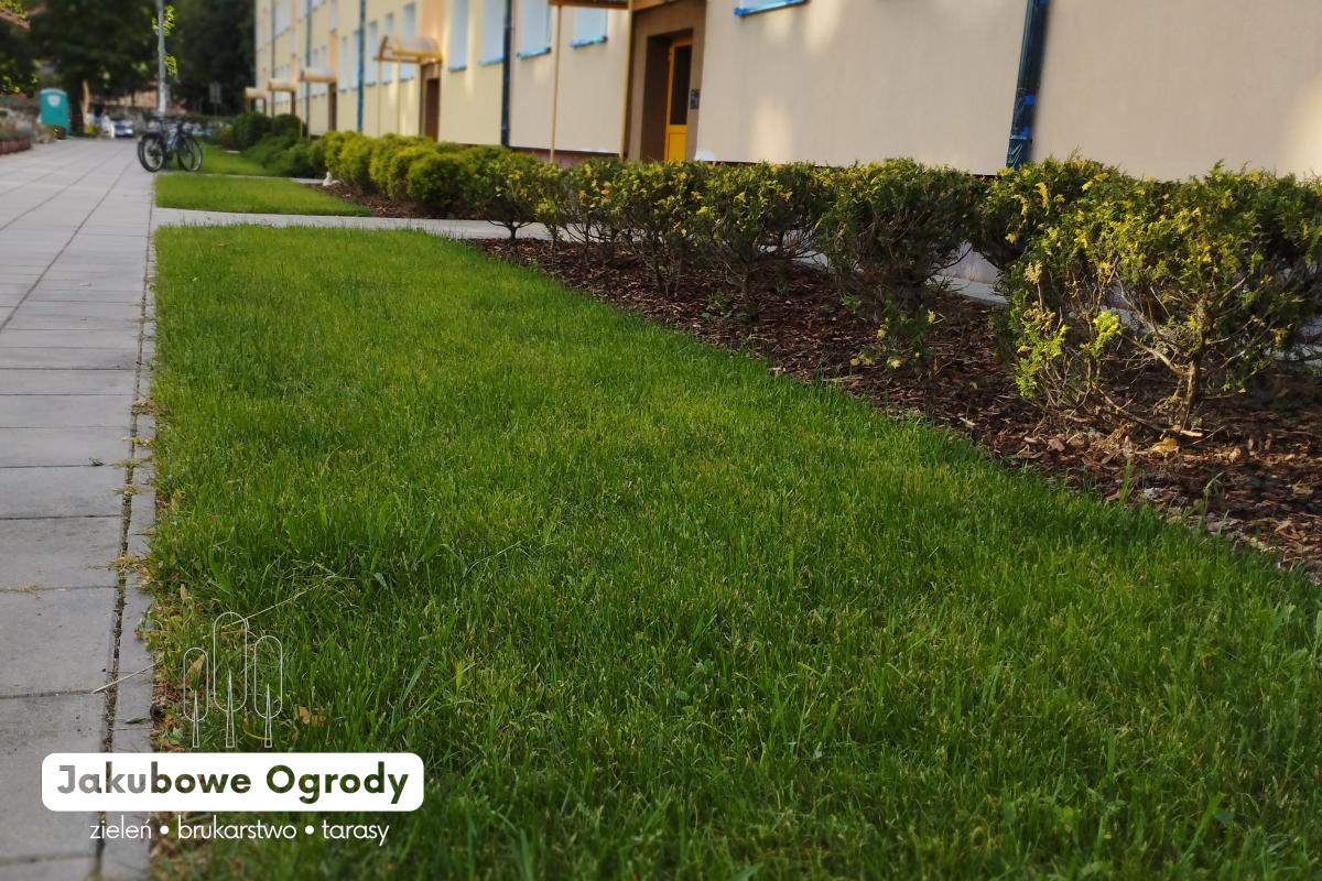 Wyprofilowana grządka