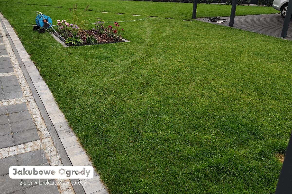 Nowoczesny ogród pełen zieleni i harmonii