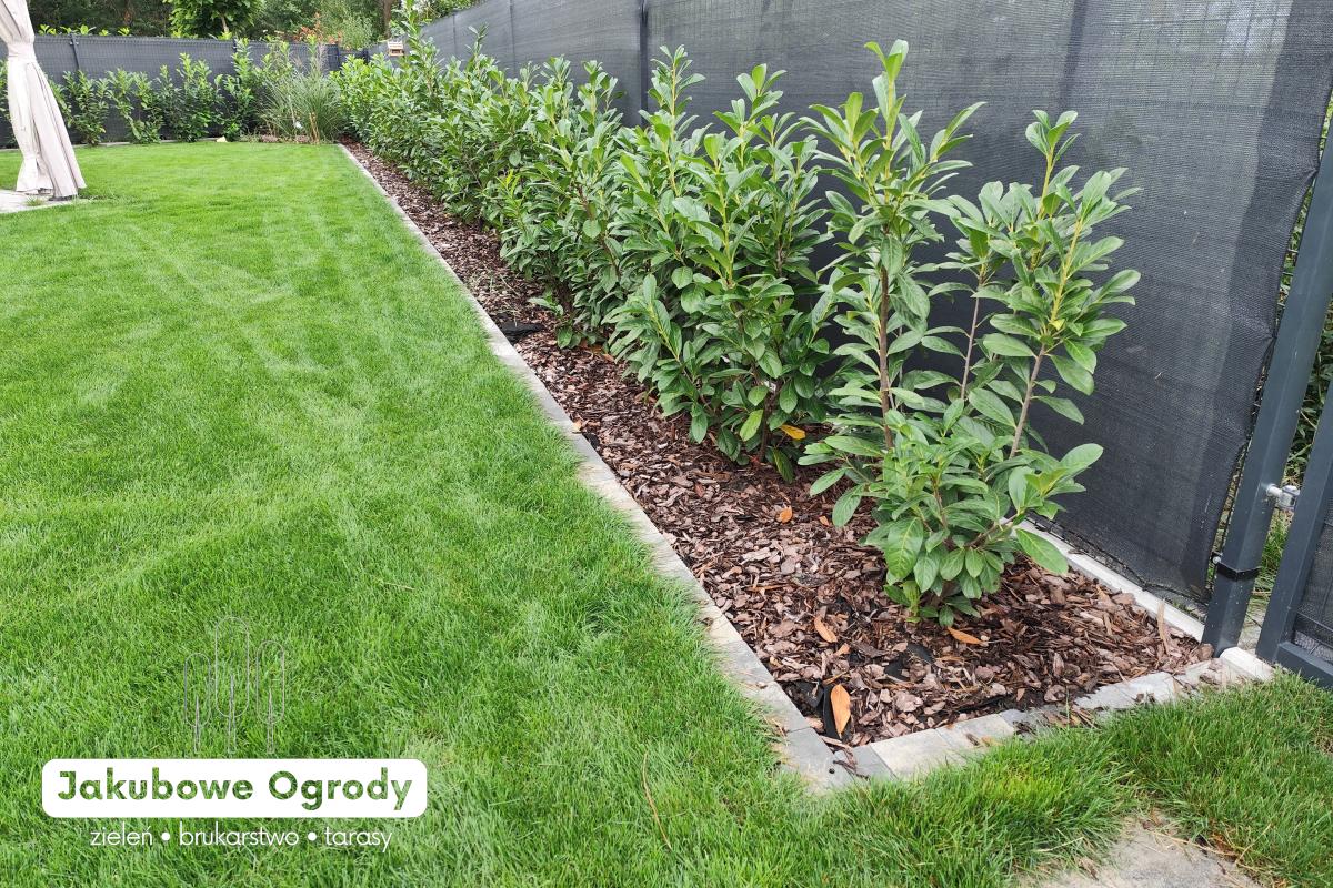 Nowoczesny ogród pełen zieleni i harmonii